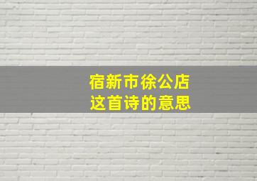 宿新市徐公店 这首诗的意思